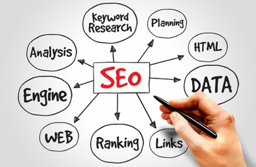 8 Reasons Why Your Website Needs Search Engine Optimization - The Daily Egg